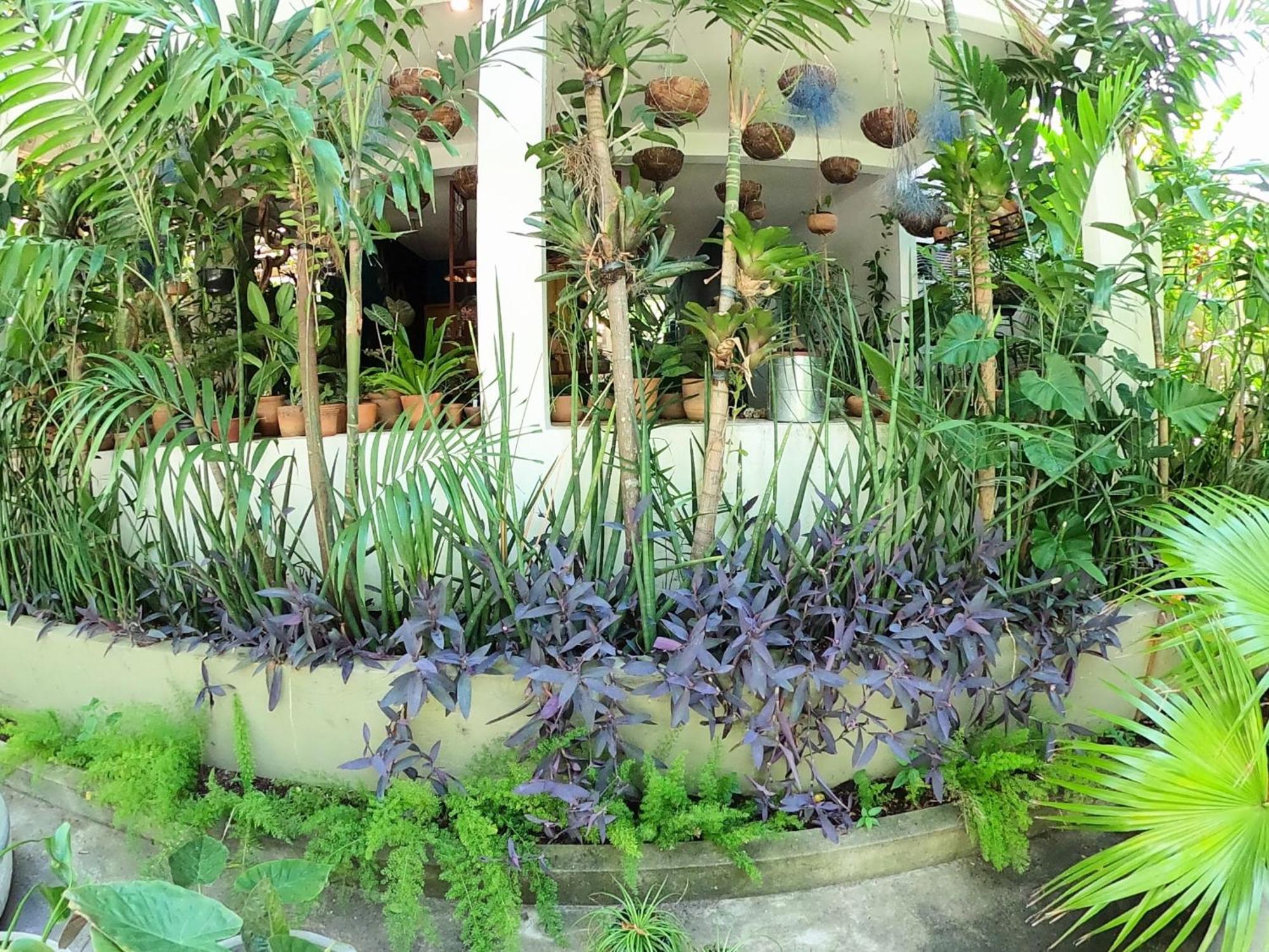 Residencial Casa Flor Atelier Botanico, Ponta Negra Lägenhet Natal Exteriör bild