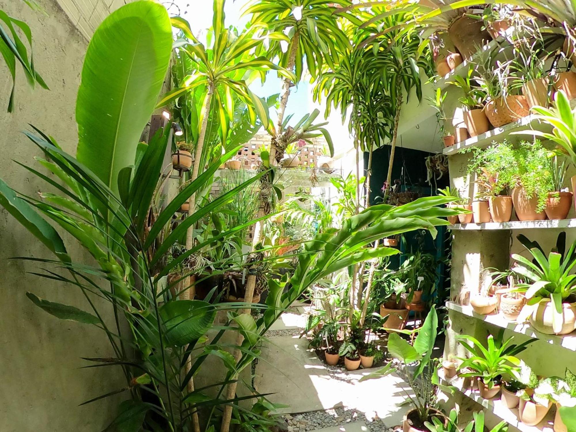 Residencial Casa Flor Atelier Botanico, Ponta Negra Lägenhet Natal Exteriör bild