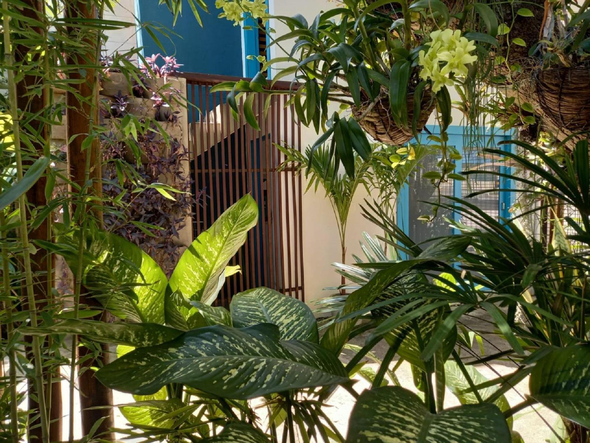 Residencial Casa Flor Atelier Botanico, Ponta Negra Lägenhet Natal Exteriör bild