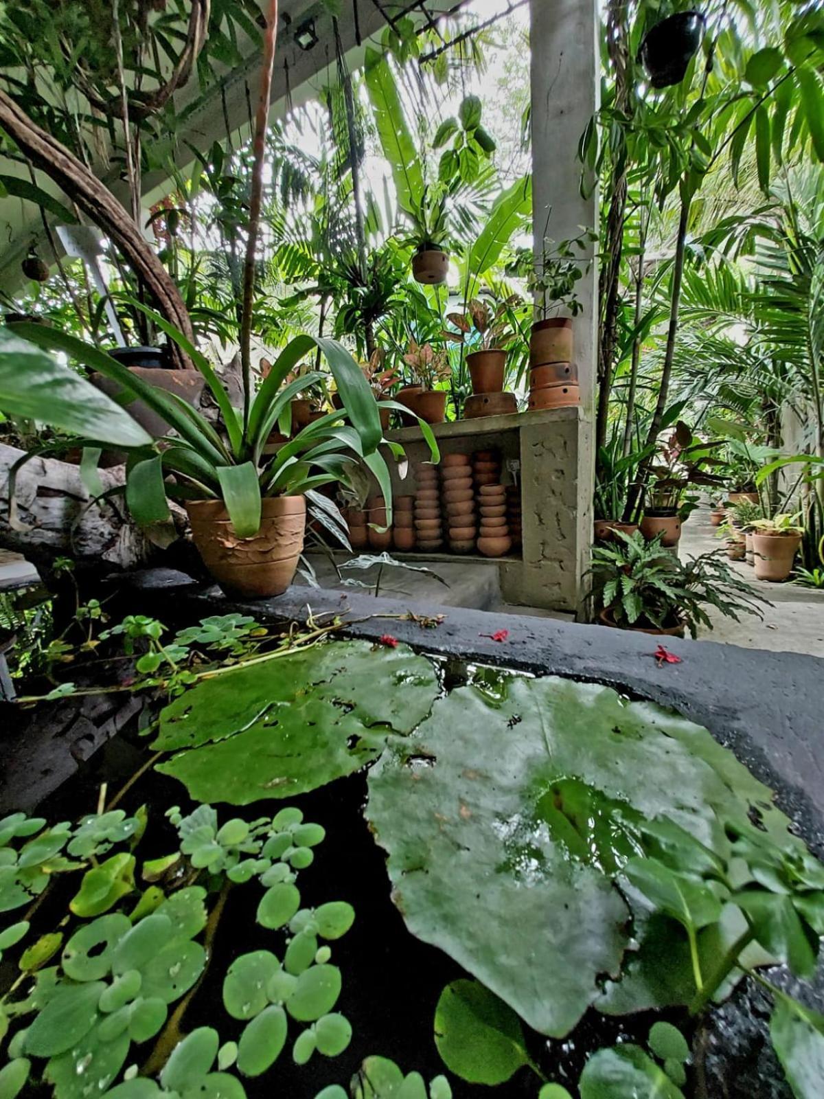 Residencial Casa Flor Atelier Botanico, Ponta Negra Lägenhet Natal Exteriör bild